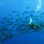 펜션 Abades Chalet Abades (Tenerife)