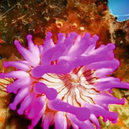 Σπίτι διακοπών Abades *