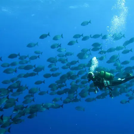 Σπίτι διακοπών Abades La Listada